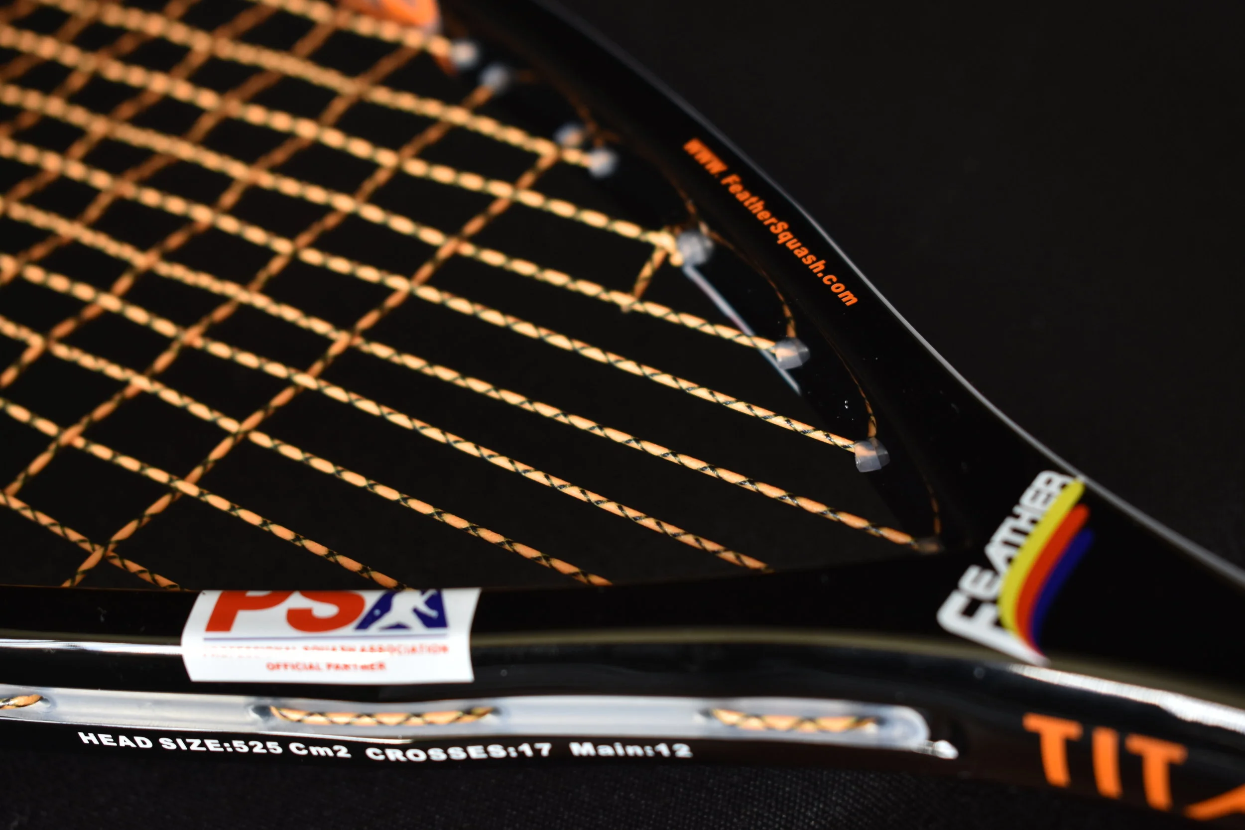 【キタサンブラック】ゴールドパラレル ESP LTD Neil Westfall Signature NW-44 Electric Guitar